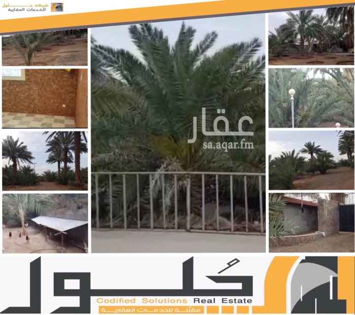 1490046 📌مزرعة مميزة في بواط بصك شرعي
📌المساحة 20،000 م٢
📌تقع على شارعين الدولي الجديد وطريق جانبي
📌2 عداد كهرباء وعدد 1 ماء بادية
📌2بير 2 بوصة ونصف وعدد 1 احتياط
📌خزان خرساني سعة 6 وايتات
📌شبكة تقطير لكامل النخل
📌جميع أنواع النخل ومقسمة بطريقة هندسية
📌حاضائر جاهزة للطيور والماشية والأرانب
📌يوجد مستودع هنجر معزول بمساحة 800م2
📌محاطة بسور من الحجر بطول 3م بأضاءة
📌استراحة من الحجر والسرميك
☎️للاتصال والاستفسار 0503300006 - 0543889333
🌈شركة حلول للتطوير والأستثمار العقاري