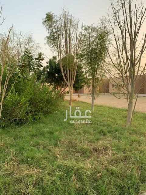 1490514 المجمع سكني ومكون من 36 غرفه وكل غرفه تحتوي مطبخ وصاله وحمام
ويوجد في المجمع مسجد وغرفه للحارس وايضا يوجد بئر ارتواز يغذي كامل المجمع
ويتميز المجمع بمواقف سيارات واسعه
ملاحظه : المجمع للايجار بالكامل او اغلبه وليس للايجار الفردي