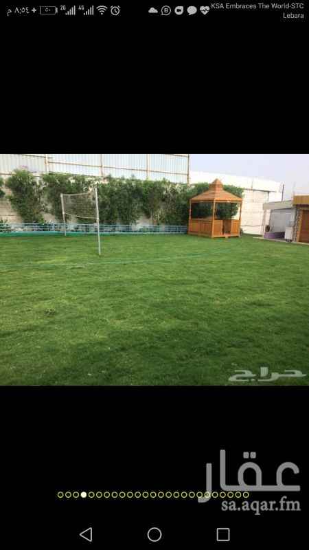 1314406 اليوم فاضيه ٤٠٠ ريال عرض خاص