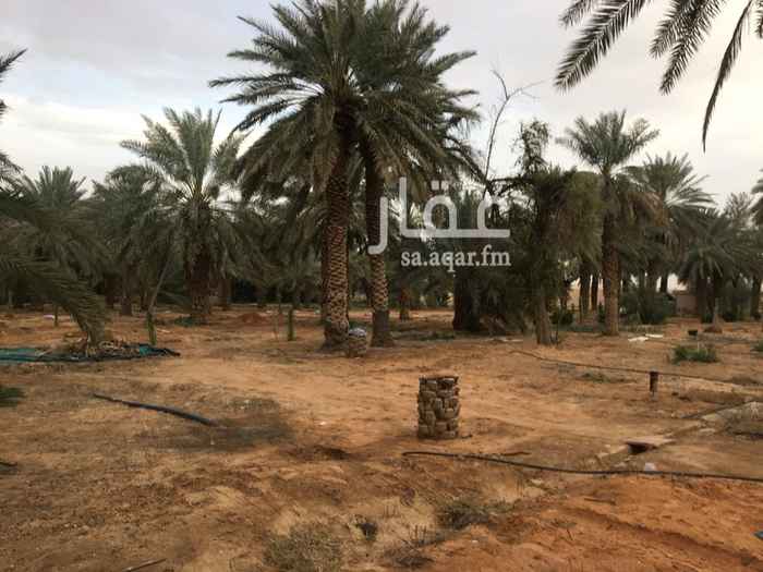 1399618 مزرعه ف الغطغط مساحة ٢٤الف على السوم