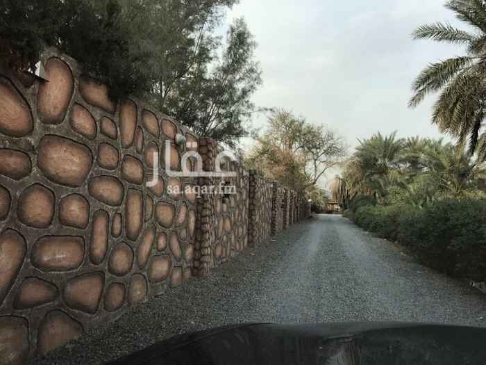 1248245 واجهتين يوجد صك شرعي
مكونات المزرعه:
- 600 نخله مشكل عجوه 180 نخله تقريباً والباقي مشكل من روثانه وعنبره وصفاوي وبيض وربيعه
- محصول تين وليمون
-عدد 2 بير 3 بوصه لكل بير اربع وعشرين ساعه وتم تمديد مياه الصرف الي المزرعه
-استراحه فاخره مسبح للكبار ومسبح للصغار وبيت شعر.
للتواصل
0563335077
توجد لدينا مزارع اخرى نستقبل العروض والطلبات
*لا نبيح ولا نحلل من يتوصل لاي عقار عن طريق اعلاناتتا وتبقى عمولة السعي في ذمته*