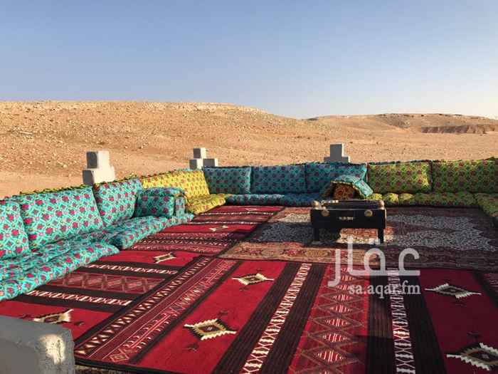 1190855 للبيع او للإيجار مخيم يقع على طريق القصيم
يتكون من قسمين رجال - نساء
قسم الرجال يتكون من بيت شعر جديد ودكه وخيمه ومطبخ ودورات مياه
وقسم النساء يتكون من بيت شعر جديد ومطبخ ودورات مياه ودكه والعاب اطفال و 4 خيام
المخيم مؤثث بالكامل
ويوجد مكينة كهرباء لستر 25 كيلو وغرفه للحارس