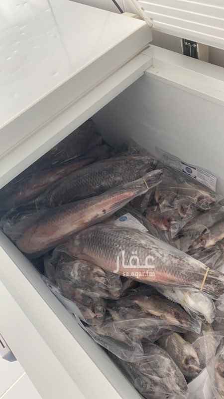 1690100 السلام عليكم ورحمة الله وبركاته
للتقبيل محل اسماك مجمده.
يوجد تسع فريزرات + مكينة تقطيع الاسماك + تلفزيون + مكيف +