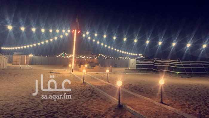 824050 مخيمات الدروازه متكامل الخدمات VIP بيت شعر ومقلطات ودكك خارجيه وعريش مميز وملاعب وقنوات رياضيه