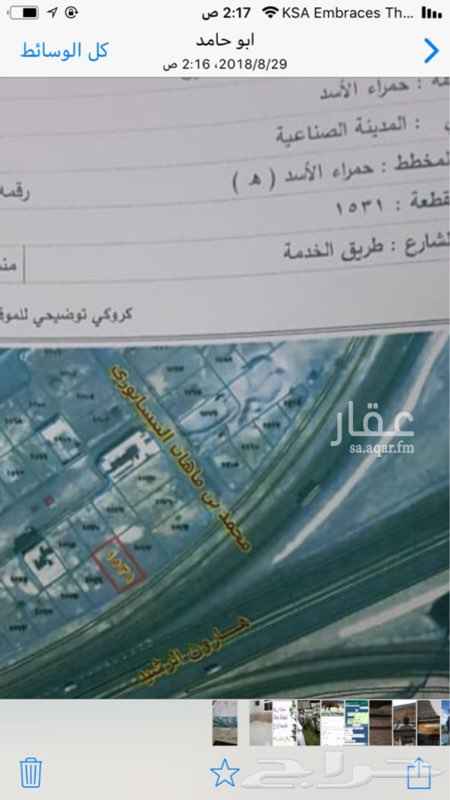 1300222 ارض مسطحه للبيع في مخطط حمراء الاسد تجاريه على شارع مية