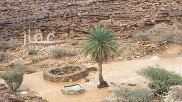 1586062 السلام عليكم ورحمت الله وبركاته
يوجدمزرعه للبيع
الوصف
الموقع:بلده كبد/طريق قليب الترمس
علئ نفس الازفلت تبعد عن كبد 5 كم
المساحه اكثرمن مليون مترمربع
مملوكه بصكين حره معقمه جميع الجهات الارضيه متساويه
يوجدبها ثلاث ابار 2 عميق محفوره حسب مواصفات وزاره الزراعه 1 سطحي جميعها الماء الحلو
وعدد اثنين رشاش
غطاس 6بوصه 190 متر نزول
بركه كبيره 20/20
بيت شعبي كامل
ثلاث عدادات كهرب
التواصل على الخاص