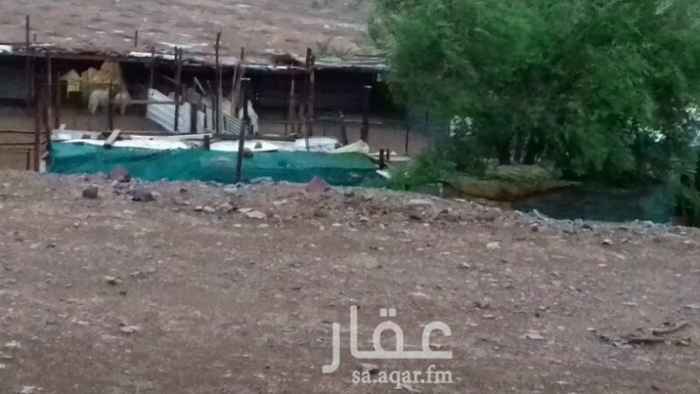 1215624 - مزرعة بالمدينة المنورة تبعد عن المسجد النبوي 26 كلم بعد شركة الغاز ب3 كلم
- تقع على شارع الرياض القديم (الرئيسي)
- واجهة المزرعة على الشارع الرئيسي حوالي 270م
- بها عدد 3 بيوت شعبية بكل بيت عدد 4 غرف جاهزة للسكن اكثرمن200عجوا100ربعيه وروثانه