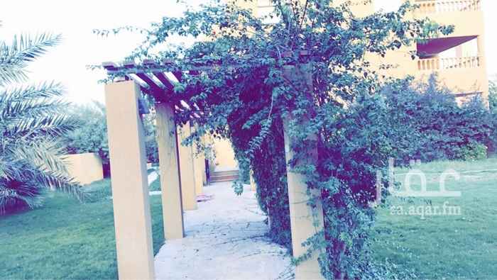 1378405 للبيع مجمع سكني ٤ فلل دبلوكس وقصر مصغر
مؤجره بالكامل ب حوالي ٧٥٠ الف سنويا !
البيع كأرض وبسعر الارض على رغبة المالك
ولا يمكن رؤية العقار من الداخل بسبب انه مؤجر
مواصفات القصر
٤ غرف نوم وجناح رئيسي مطبخ خارجي وداخلي وملحق علوي ٣ غرف ومطبخ صغير + مصعد من القبو الي الملحق العلوي
وملاحق خارجية منها غرف للخدم ومطبخ وبيت شعر ومسبح خارجي من شركة بن طالب
+ يوجد قبو في القصر وجميع الفلل