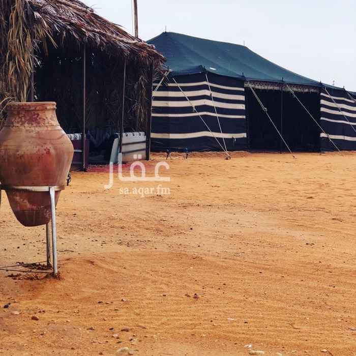 1286136 الثمامة
(القسم الاول)
دكه خارجيه
بيت شعر ١١*٦ خيمة صيوان كنب ١٠*ه.
خيمة كنب ٦*٤. عريش كنب ٦*٥.
ألعاب اطفال. مع نطيطه (مطبخ ٤*٣)
دورة مياة افرنجي + دورة مياه عربي + مغاسل
(القسم الثاني)
بيت شعر ١١*٦ خيمة مقلط ٨*٥
خيمة كنب ٦*٤ جلسة عريش ارضيه
دكة خارجيه مطبخ
ملعب طائرة برميل مندي
دورة مياة + مغاسل
بروجكتر
لدينا beoutQ
الموقع بخرائط قوقل ماب : مخيم ليالي الصحراء
للتواصل واتساب : 0544448016