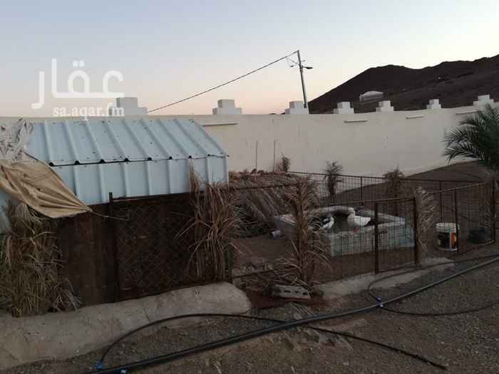1250706 تبعد عن محطة قطار الحرمين (٢٠ كيلو / ١٥ دقيقه )
يوجد كهرباء وملعب
طريق مزفلت
المساحه : ٢١٠٠
ايجار يومي / شهري / سنوي