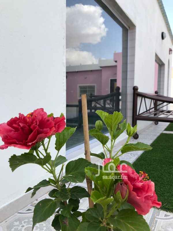 1588740 مجالس - بيت شعر - مطابخ - غرف نوم - مسبح العاب اطفال مسطحات خضراء - اماكن خارجية مخصصة لطبخ والشوي - جلسات خارجية .
قريبة من جميع الخدمات
للحجز والاستفسار
0555715404