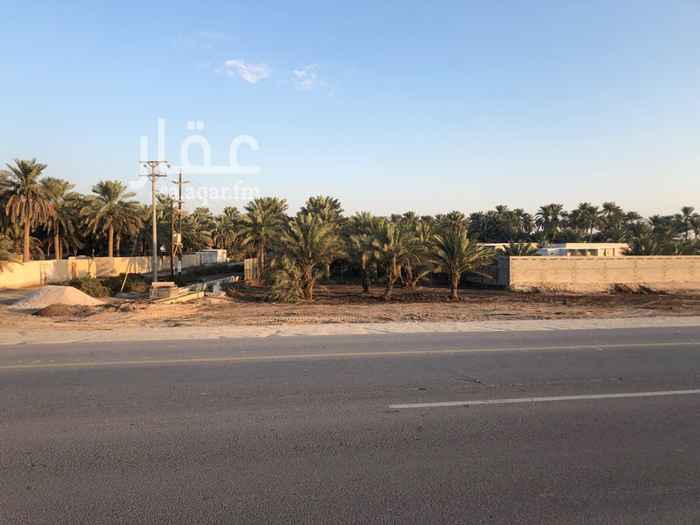1292320 مزرعه للايجار على شارع الرئيسي طريق العقير الدايري الفضول فيه كهرباء وسور قريبا سوف يتم بناء