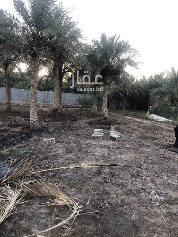 1400925 مزرعة مساحة ١٦٠٠ وهي لها صكين
كما هو واضح بصور لا يوجد سور
قريبه من شارع العام لطريق العقير