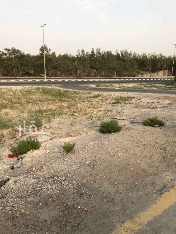 1650993 للبيع ارضين ١٠٦ و١٠٨ بلك ٧ب مساحة ٨٧٣ ومساحه ٩٥٢ للتواصل 0549000965
0556757034