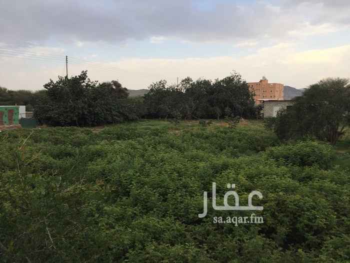 1570075 للبيع مزرعه في الهدا بالطائف ( وادي محرم )مساحتها ٢٤٠٠م يوجد بها :
اشجار التين والورد الطائفي والتوت والرمان
وفيها استراحه من غرفتين حمام مساحتها ٢٢٥م
ومعها ارضية فوق المزرعه مساحتها ٣٨٥م
وعمارة دورين وملحق وحوش كبير مساحتها ١٥٠٠م
والعمارة مستأجرة ٣٠٠٠٠ الف سنوي
المزرعه ٢٤٠٠م
والعمارة بحوش ١٥٠٠م
والاراضي ٦٠٠ م
كلها بصكوك شرعية الكترونية بمساحات مختلفه