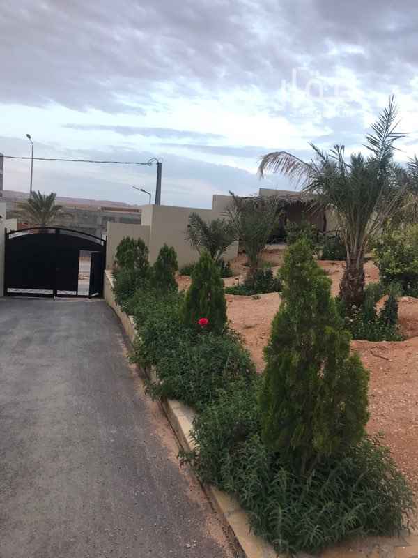 1491591 إستراحة قائمة ومطله في مخطط واحة العمارية
المساحة ٢٥٠٠ متر مربع
بئر إرتواز
مجلس سداسي الأضلاع ٦ في ستة
دورتين مياه
مسطاحات خضراء ومشجره
جلسات خارجية جميلة جداً
البيع مليون على شور