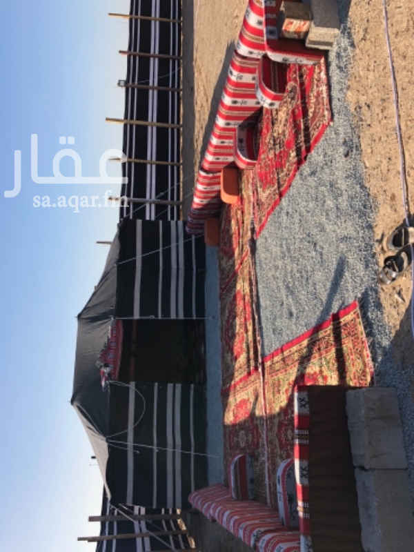 1385504 مخيم للايجار جنوب جدة بعد كبري السنابل