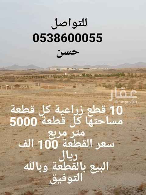 1701389 أقطع اراضي زراعيه مضمونه ميه بالميه
البيع بوثيقة بيع
وموقعها خلف جامعة جدة طريق عسفان في الغولاء