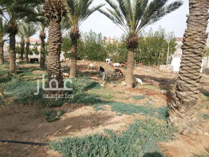 1258114 للبيع مزرعة في السيل الصغير
المساحة/60الف م2
فيها /50نخله +40شجرة رمان
يوجد فيها 3 بئر —2عدادكهرباء
فيها استراحتين كبيره(5غرف+2حمام+مجلس رجال وحمام)
واستراحه صغيره(3غرفة+2حمام)
الاستراحه بوثيقة
المطلوب فيها 3 مليون
