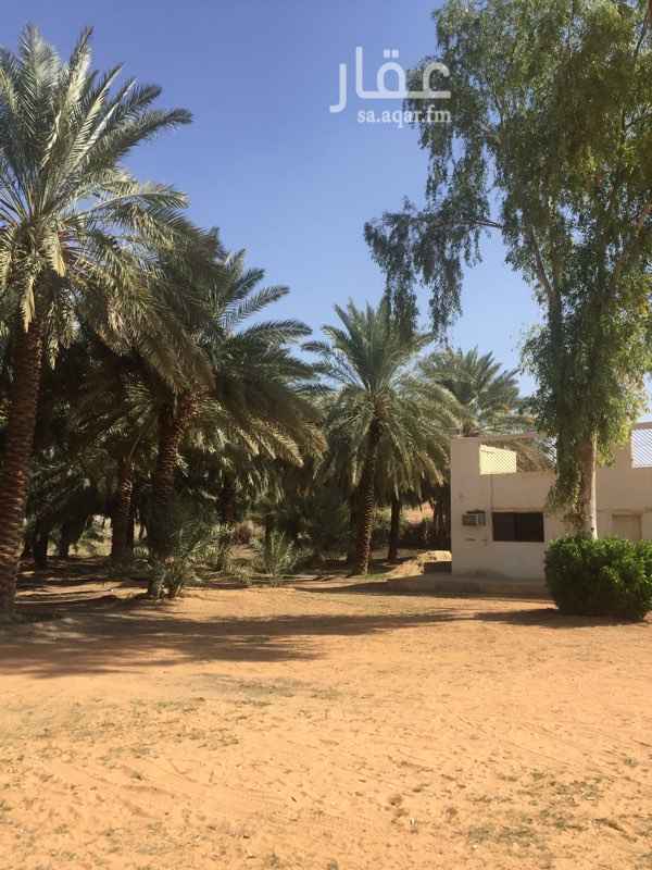 1321218 للبيع مزرعة متكاملة ببنيانها ونخيلها مثمر كلة وغالبيته خلاص وسمرة ممتاز الماء متوفر بكثرة شغال ٢٤ ساعة وحلو وخزان ماء كبير المساحة ٣٧،٥ الف متر مربع المزرعة على اربع شوارع بصك شرعي وعليها شبك كامل
ويوجد بها حمضيات وسدر وتوت وجميعها مثمرة
للتواصل (٠٥٥٠٩٩٠٩٥٨)
