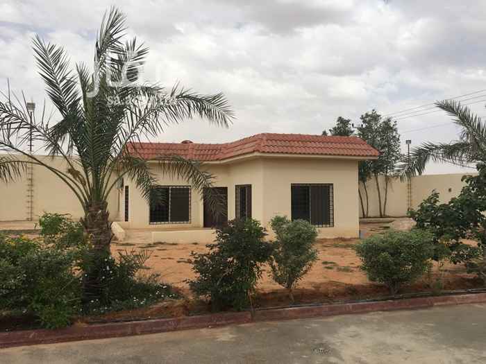 1735628 استراحة صغيرة
بغرفة وحمامين
واستراحة بغرفة وصالة
للايجار السنوي
ويوجد حوش للايجار
للتواصل
ع الخاص
او واتس