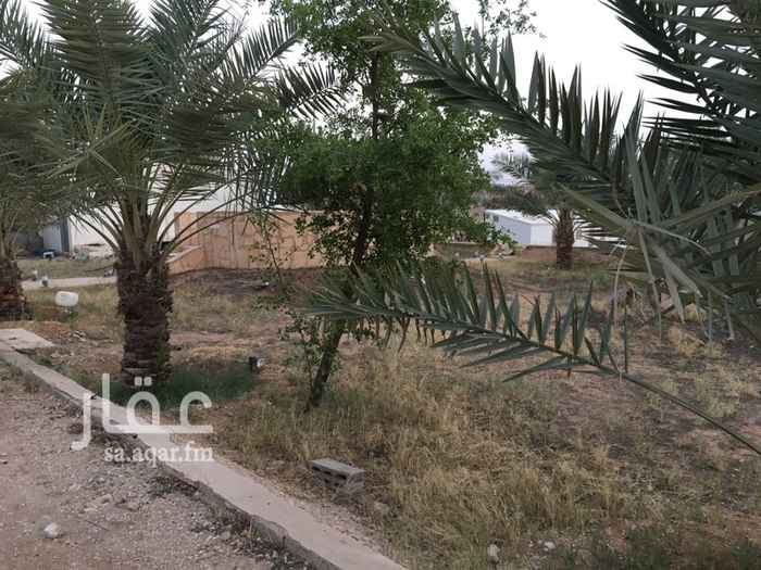 1737445 استراحة مسورة
بنخيل
للايجار السنوي
خصم خاص عالمدة
موية بير ارتواز وكهربا
للتواصل
واتس