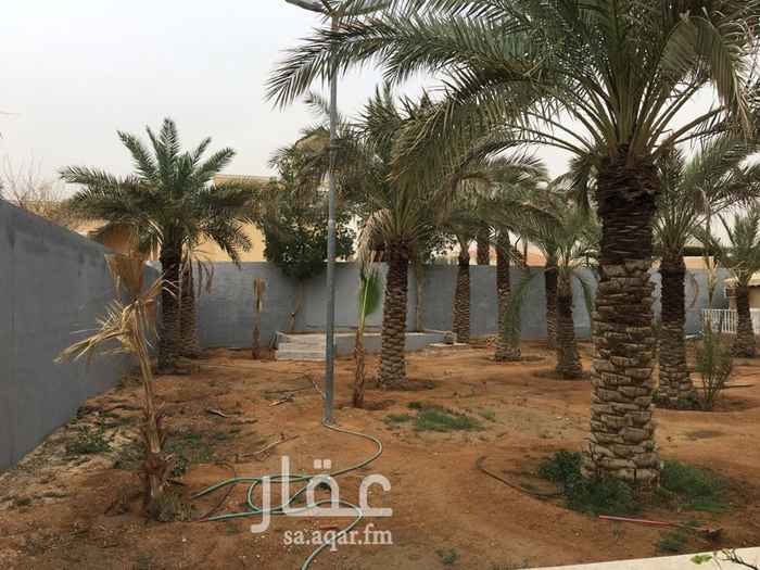 1738059 مزرعة بنخيل واشجار واشنطني
للايجار
خصم خاص عالمدة
للتواصل
ع الخاص او اتس
