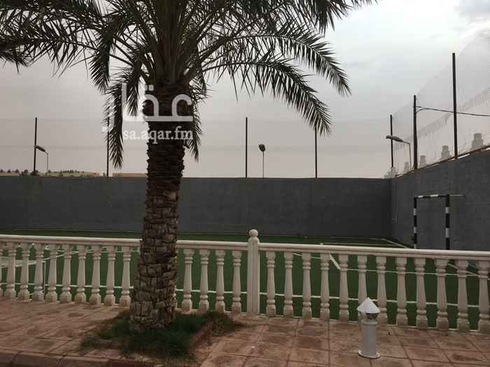 1751025 مسبح وملعب
للايجار
سنوي