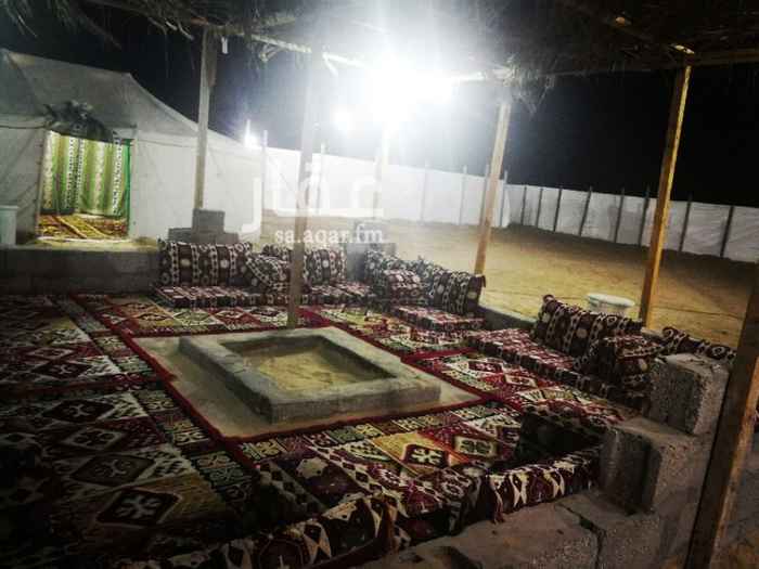 738258 مخيم للبيع
بيتين شعر مع الاثاث والسجاد واحد 11-9 والثاني 9-6
واربع خيام 4-6 اثنين مطبخ واثنين مقلط مع اثاثه
اثاث جلستين خارجيه كامل
العاب اطفال
ماطورين روبن ياباني واحد 3600 شمعه والثاني 2400 شمعه...المواطير تحتاج صيانه بسبب التخزين من العام