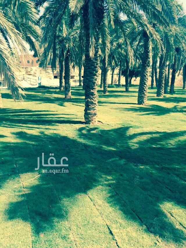 1636041 مزرعة في جنوب الرياض
الحائر موقعها ممتاز
يوجد فيها فيلا ومسبح ومسطحات خضراء
وأشجار متكامله
لها صك المساحه كبيره
ربما يستفاد منها للاستثمار وتاجيرها علي هيئة الترفيه بعد الشراء
الموقع غير صحيح
للجادين التواصل علي الجوال
0530044160