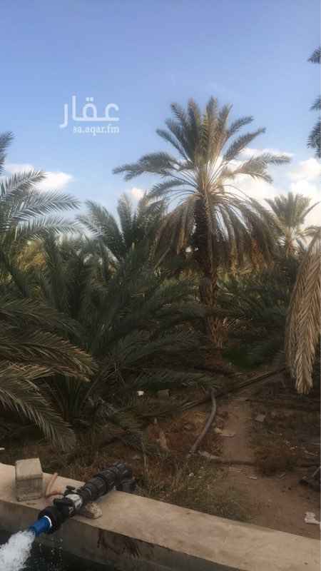 1467771 مزرعة للبيع في الخليل
المساحة 27الف متر
بصك شرعي
يوجد فيها
150 عجوة
250 صفري
100 مشكل
4 ابار ارتواز
عداد 300 مبير
سكن عمال
المزرعة للورثة والبيع مستعجل
يوجد لها ملف وزرارة الزراعة
ومكتب العمل وعليها عاملين