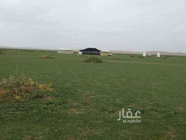 1445722 محيم للايجار حلف ديرة حفر العتش كامل كل شي يتكون من حيمتين واحد عمود والتاني عمودين بيت شعر ١١×٥
كهرباء ودورة مياء حنفيه مغسله