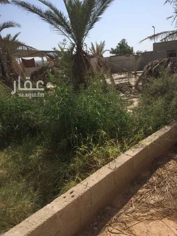 1576766 يوحد استراحة مساحة ٤٥٥٠ م
الموية متوفرة
السعر قابل للتفاوض