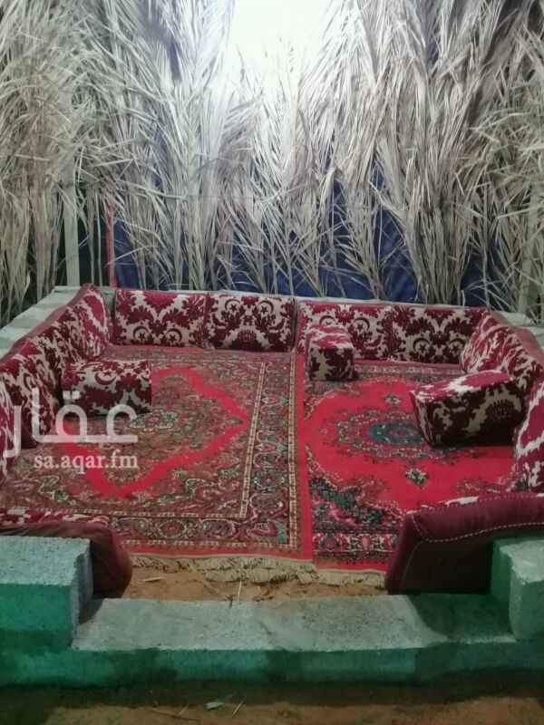 1223264 قسمين