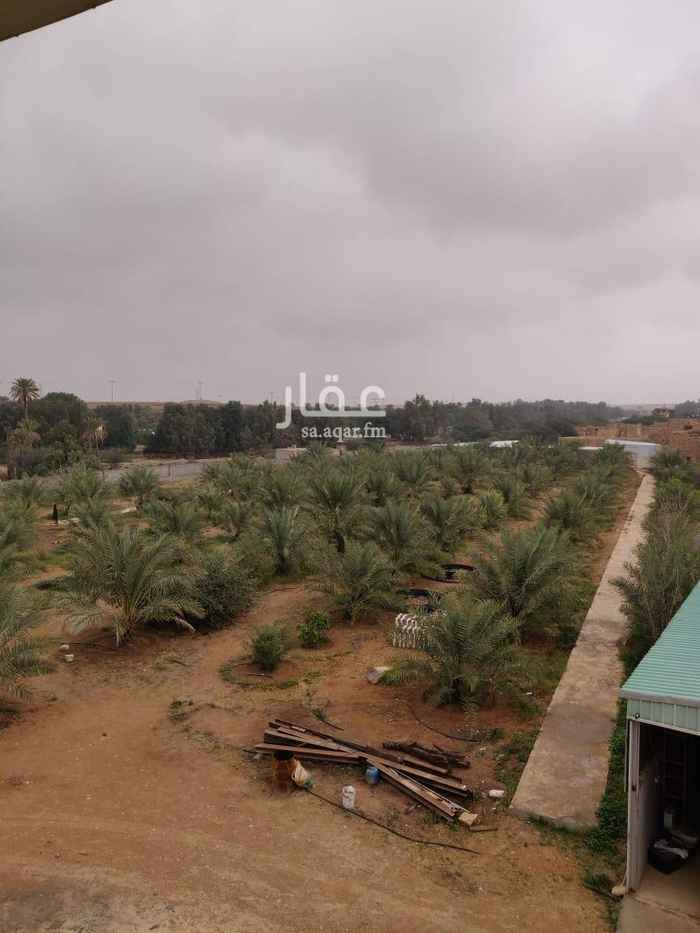 1404725 15500م مربع
تبعد عن السد 300م
فيها 150 نخلة 90% خلاص
فيها فواكه وحمضيات متنوعة
قليب عربي (50)م
ارتوازين (120)م و (270)م
خزان 682 م مكعب ومجلس مطل فوقه
شيب موية
غرف عمال
مخزن ( 14م * 15م )
هناقر غنم
المزرعة مسورة
المزرعة لها صك حديث
حد المتر 500 ريال
