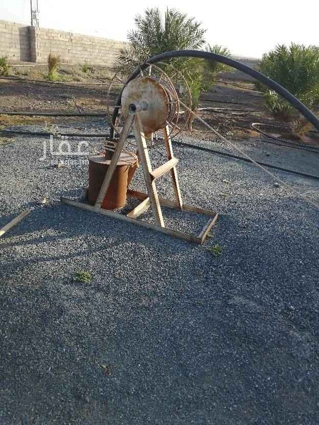 1462889 ارضين زراعية بجانب بعض للبيع في قرية غراب المساحة الإجمالية ٧١٦٥٥ متر مربع تبعد عن المدينة المنورة ٦٥ كيلو يوجد بها مطقين الاول بوصة ونصف والثاني ثلاثة بوصة الماء حلو و55 نخلة روثانة وبيت شعبي وكهرباء وبركتين وقريبة من الخط الرئيسي والخدمات العامة البيع بوثيقة مبايعه ومن يرغب الشراء الوقوف عليها