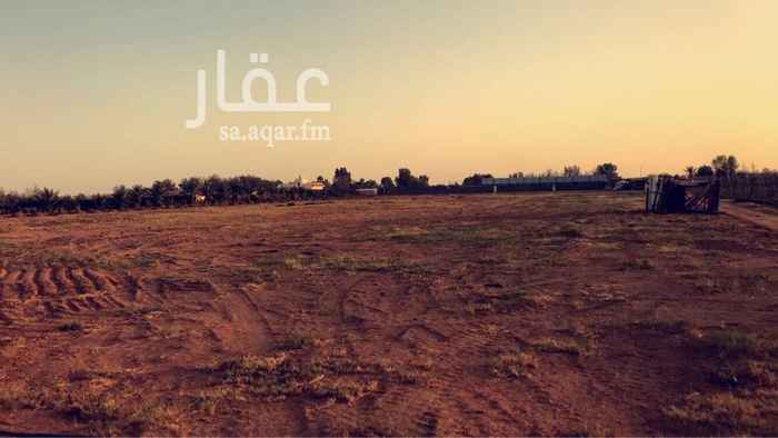 1436138 يوجد لدنيا مزرعة وبيوت محمية العدد 20للايجار ويوجد سكن للعمال
وغرف لتخزين الخضار وبوابة خاص واحواش غنم ومستودع لتخزين الاعلاف والحبوب
واماكن مجهزه لتجميع الخضار