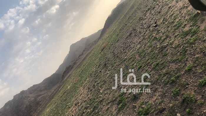 1300649 مزرعة للبيع في منطقة الصويدرة التابعة للمدينة المنوره
تبعد عن المدينة 35كيلو
وعلى الطريق السريع
مساحتها ٨٠الف
ويوجد بها إستراحة جاهزة ومؤثثة
و100من النخل عجو وروثانة
و٣خزانات ماء ومجلس خارجي عظم
والماء بوصه وربع ومتوفر فيها ولله الحمد والمزرعة بوثيقة مبايعة معتمده
والجيران بواثيق جميعهم ولايذكر فيها اَي مشاكل ولله الحمد
السوم ٢٤٠الف
والحد واضح