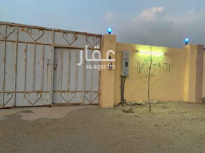 1387744 قسمين رجال ونساء وثيقه
الموقع بىر الغنم
