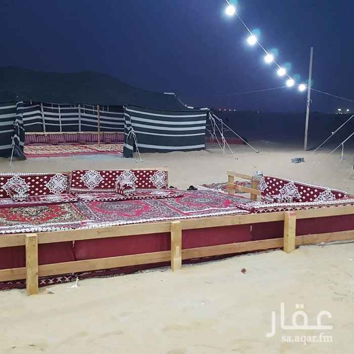 1252740 قسمين رجال ونساء