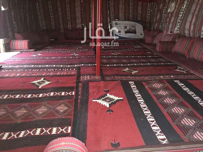 1255048 يتكون من قسمين رجال ونساء في كل قسم خيمة كبيرة وخيمة مقلط وخيمة مطبخ مجهزة بعدتها وتكة خارجية ومشب والعاب اطفال وحفرة مندي والعاب اطفال وشاشة في كل قسم ورسيفر العاب