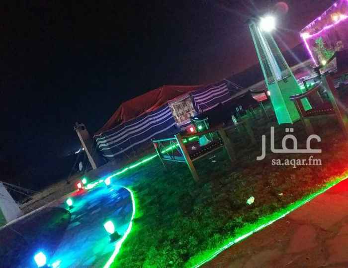 1354511 مخيم عنوان الفخامه..
حساب انستقرام @oooaass3327