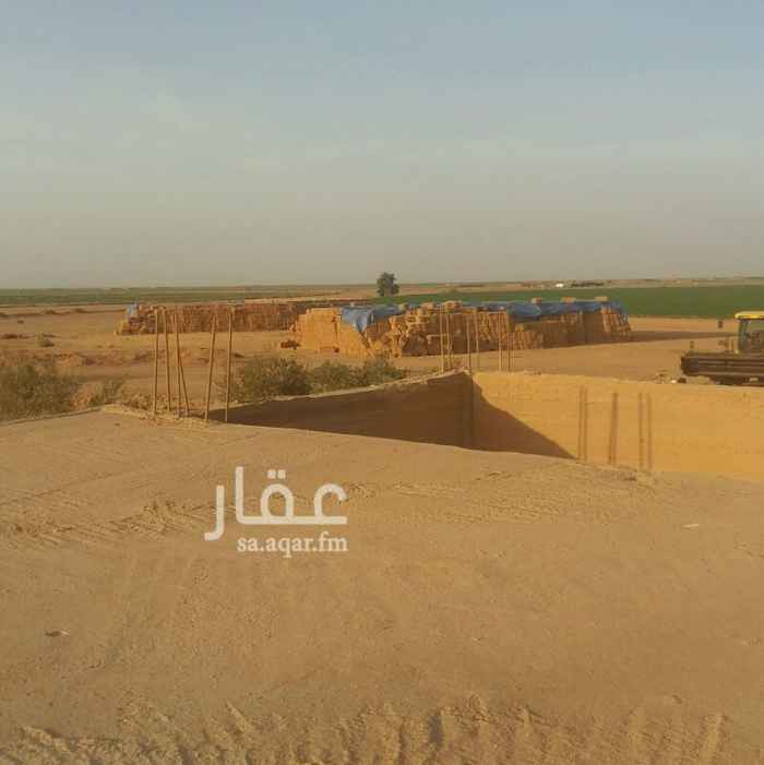 مزرعة للبيع فى المملكة العربية السعودية صورة 1