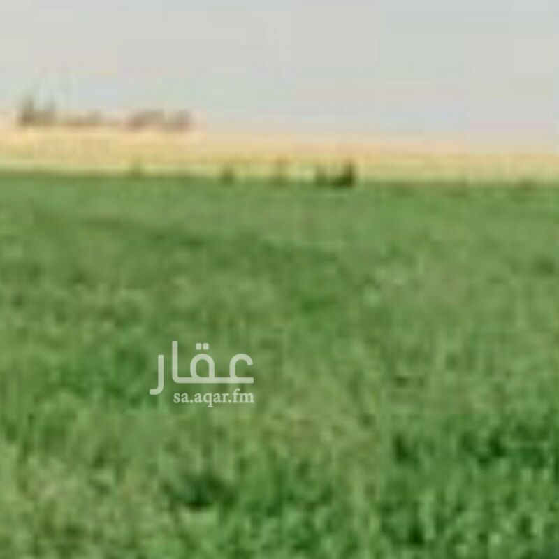 مزرعة للبيع فى المملكة العربية السعودية صورة 2
