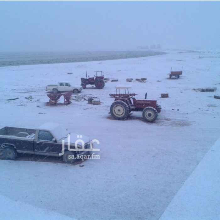 مزرعة للبيع فى المملكة العربية السعودية صورة 3