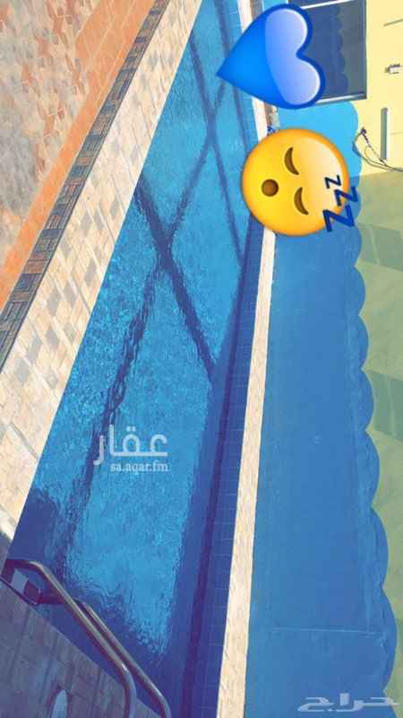 1353855 😍 للايجار يومي استراحه نايس تايم. 😍
------
الأسعار♦
(( يومي وسط الأسبوع ب299ريال قسم واحد
والويكيند يومي ب699ريال )) قسم واحد.
----
قسم الأول 🛑
1_مسبح للرجال
2_ بيت الشعر مع شاشة 58 بوصه سمارت
3- غرفة نوم ٣ مراتب
3_ مجلس للرجال داخلي
4_ غرفة العاب بلياردو+ فرفيرة + هوكي
5_ ملعب طائرة
6_ حمامين
قسم الثاني 🛑
1_ مسبح للنساء مغطى بالكامل⛩
2_مجلس كبير مع شاشة 58 بوصه سمارت مع انوار دي جى🎆🥳
3- العاب للاطفال
4_ جلسة عربية خارجية
5_ غرفة نوم
6_ مطبخ
7_حمامين
----
تواصل واتساب 0549626103