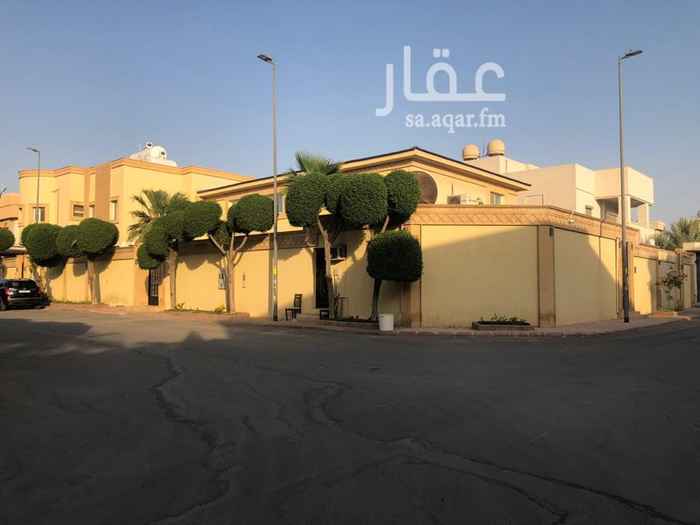 1674661 فلتين متصلات وحده عمرها ١٠سنين والثانيه ٣٣سنه