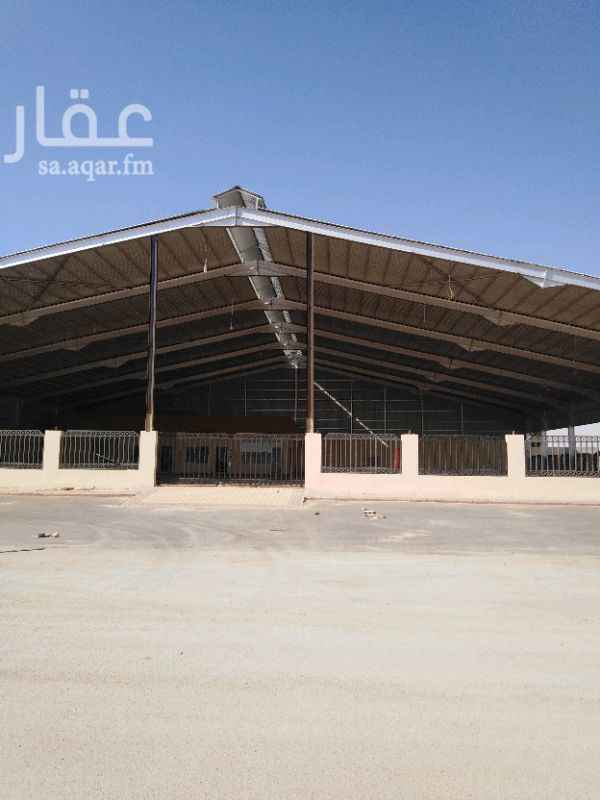 1387260 للايجار معرض سيارات معارض القادسية إيجار سنوي 220 الف