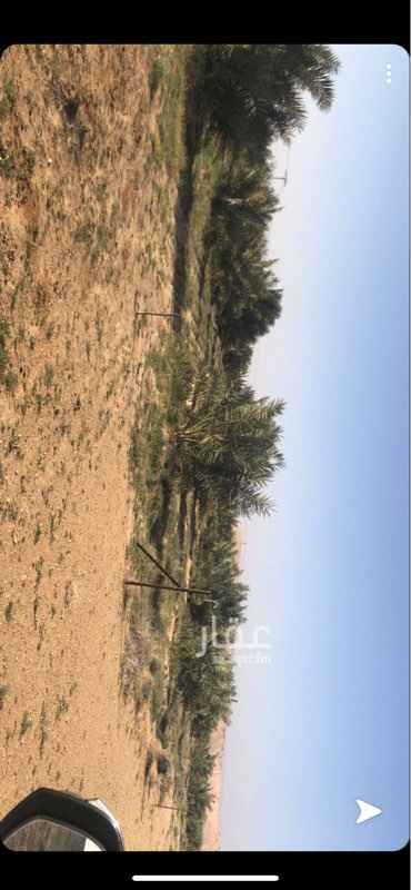 1440371 مزرعه للبيع في محافظه الغاط
صك شرعي
واصل الكهربا والزفلت
رشاش محوري ٧ ابراج
٥٠٠ نخله
حراثه بكامل معداتها
حضائر اغنام
مستودعات
اربع برك مويه
اربع ابار
🔴البيع ع السوم 🔴