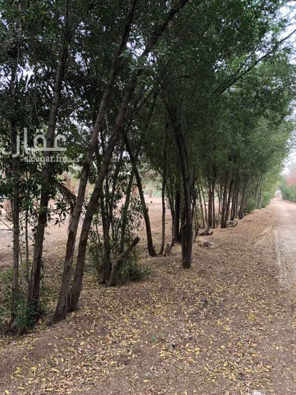 1205417 للبيع مزرعه في جو المزاحمية
مساحتها (٥٥)الف متر مربع
سعر المتر (١٠٩)
فيها (٤)آبار
وتحتوي على اكثر من (٣٠٠) نخله
مكانها راقي